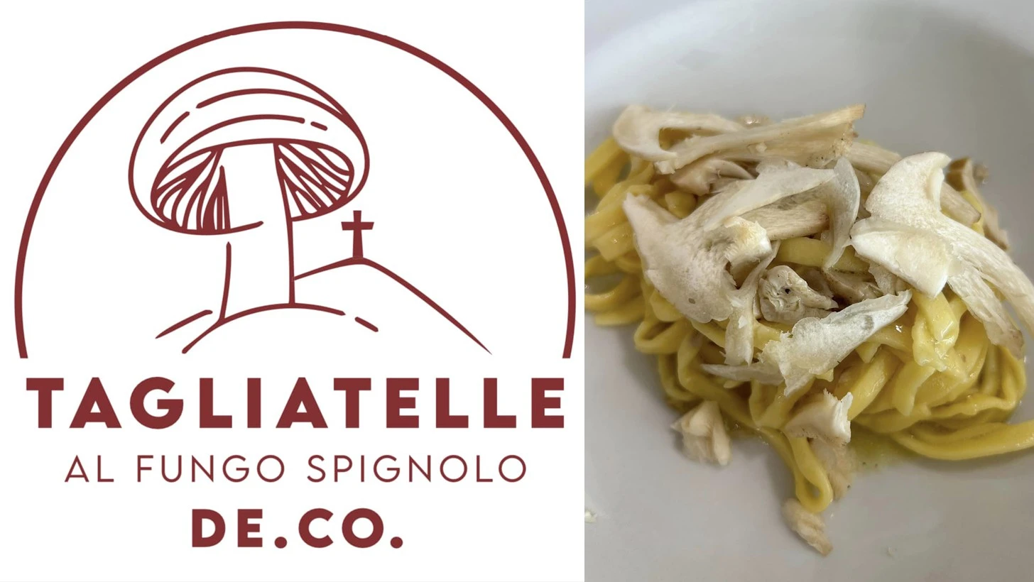 1267313_Cfakepathtagliatellespignolo.jpg